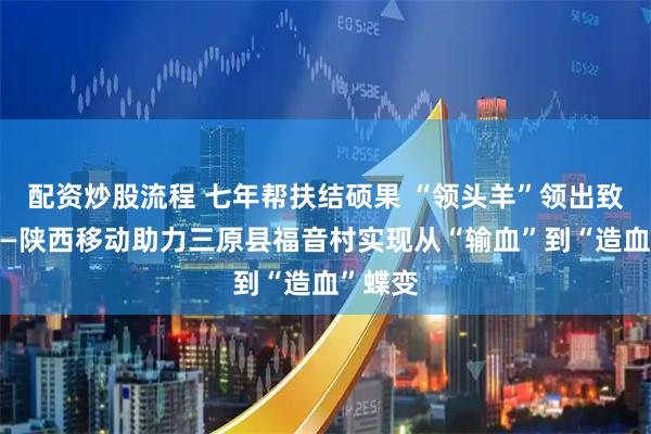 配资炒股流程 七年帮扶结硕果 “领头羊”领出致富路——陕西移动助力三原县福音村实现从“输血”到“造血”蝶变