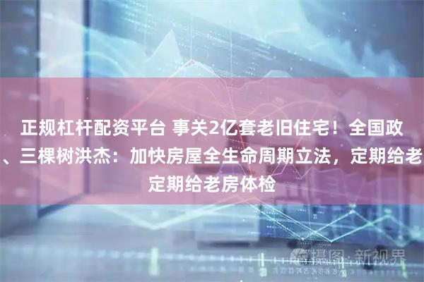 正规杠杆配资平台 事关2亿套老旧住宅！全国政协委员、三棵树洪杰：加快房屋全生命周期立法，定期给老房体检